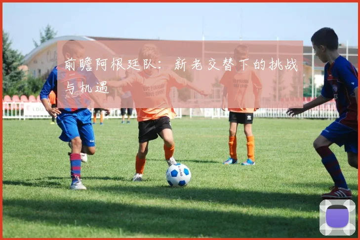 前瞻阿根廷队：新老交替下的挑战与机遇