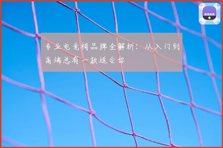 专业电竞椅品牌全解析：从入门到高端总有一款适合你