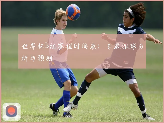 世界杯B组赛程时间表：专家推球分析与预测